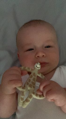 gigi giraffe teether