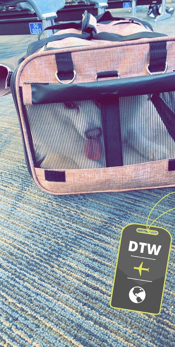 Customer photo review of Chelsea Roller™ - Pet Travel Carrier