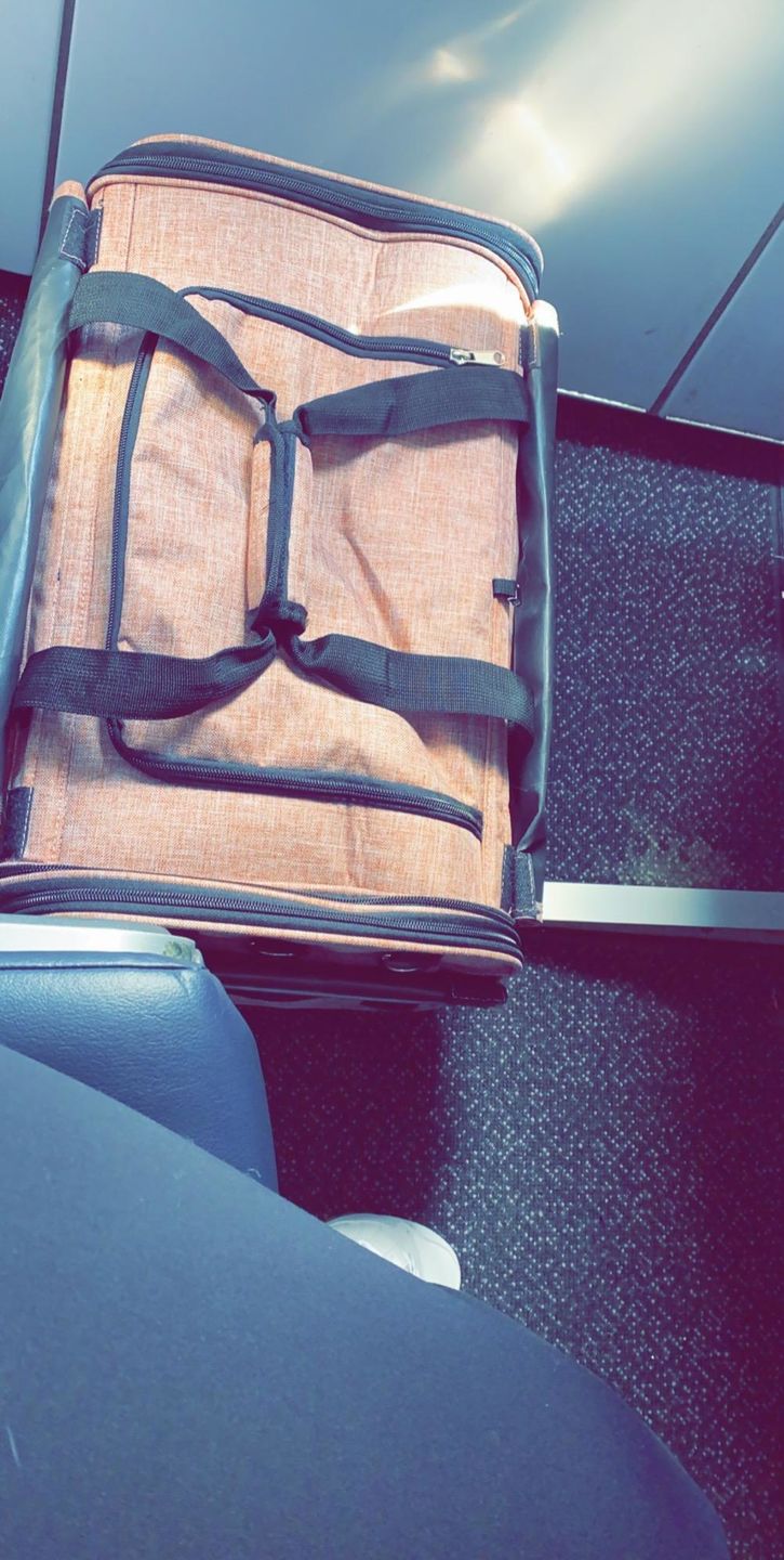 Customer photo review of Chelsea Roller™ - Pet Travel Carrier