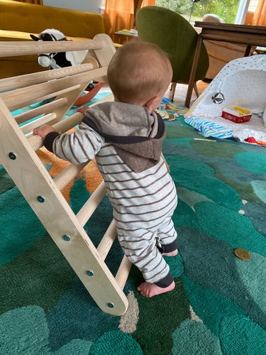 Customer photo review of Little Climber