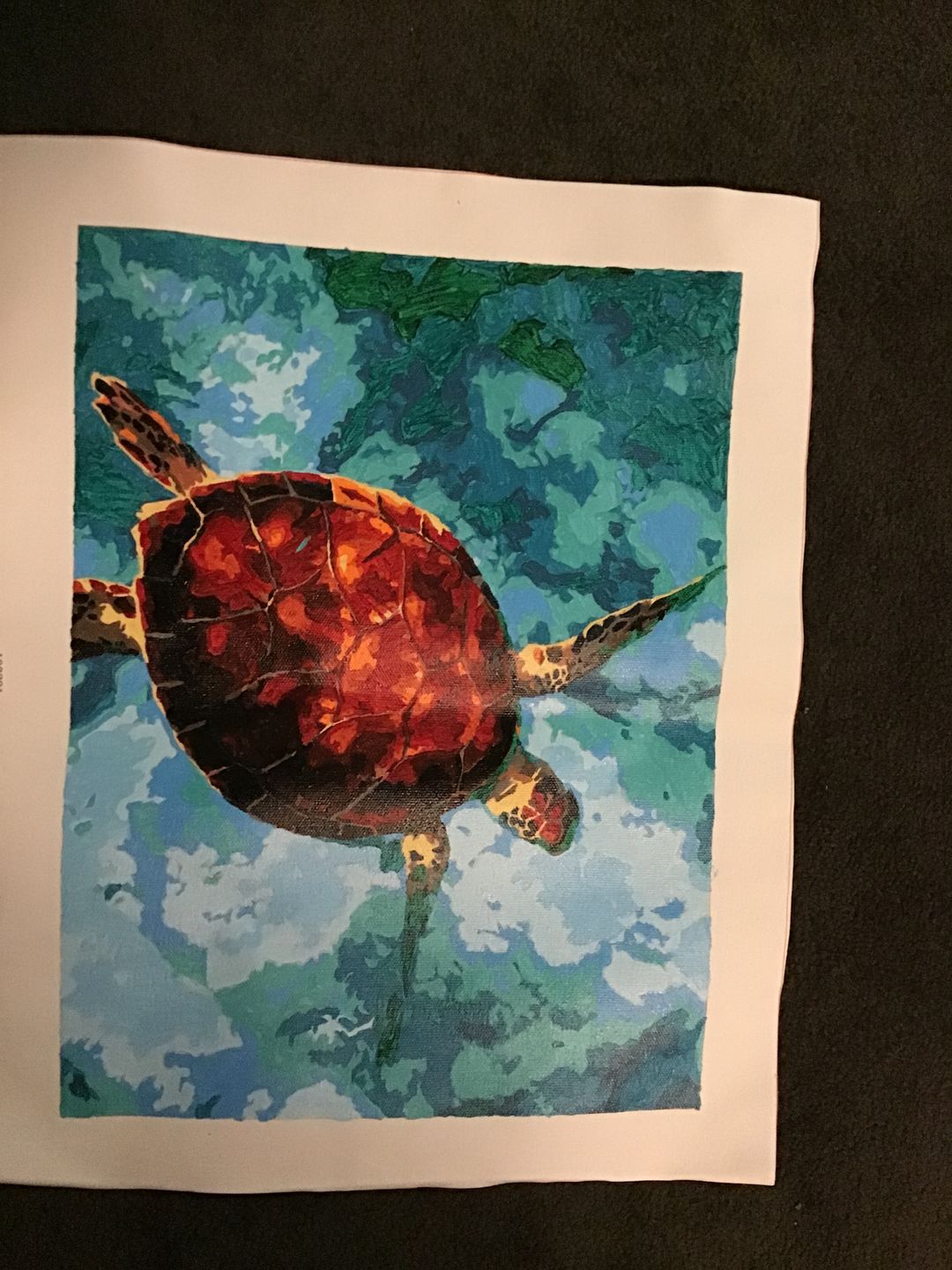 Customer photo review of FREE Paint By Numbers Kit