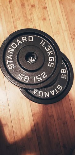 Customer photo review of 25lb  cast iron plates - pair
