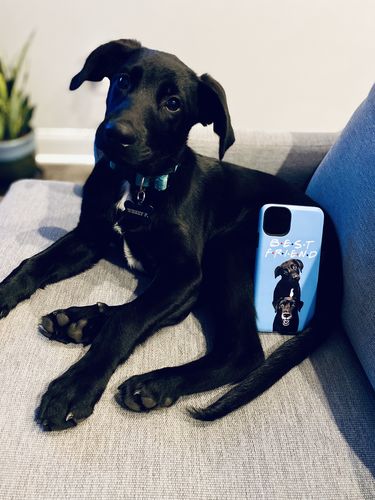 Customer photo review of Custom Pet Phone Case (Original)