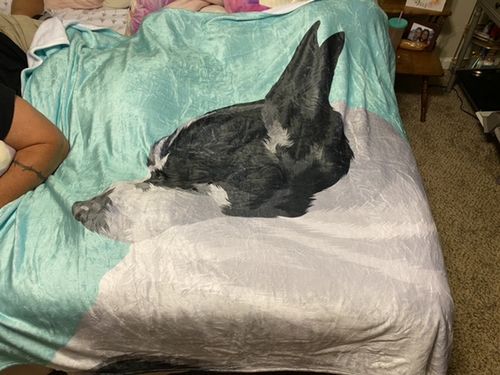 Customer photo review of Custom Pet Fleece Blanket