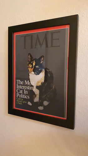 Customer photo review of Posing Pig Custom Print