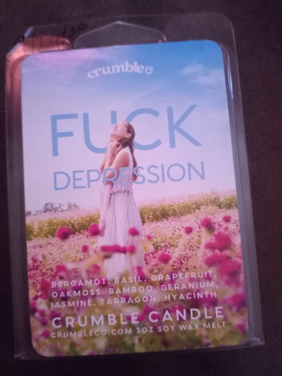 Customer photo review of Fuck Depression Wax Melts