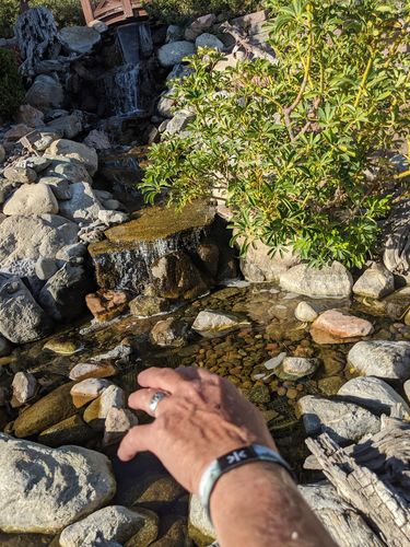 Customer photo review of Mountains & Miles Smart Strap