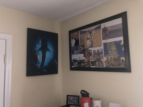 Customer photo review of Leviathan Canvas Set