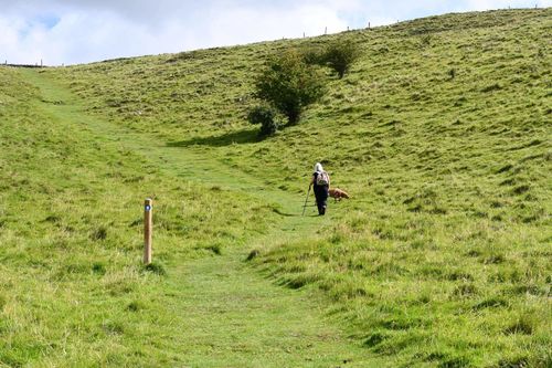 Customer photo review of PositVibe Patella Stabilizer