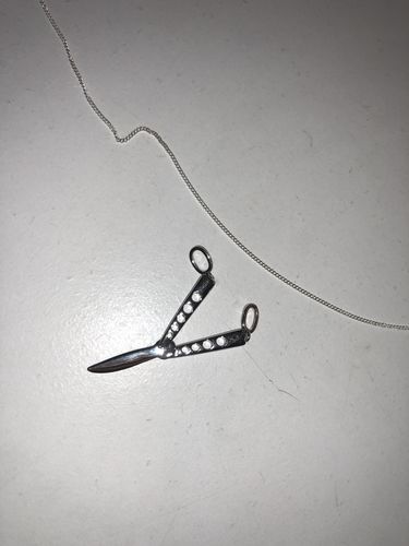 Customer photo review of BUTTERFLY KNIFE - SILVER