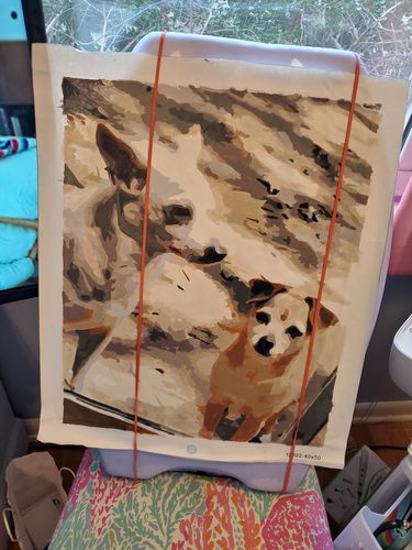 Customer photo review of Custom Paint By Numbers Kit - Upload Your Photo - Brush Set Included