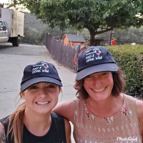 Customer photo review of I Just Want To Rescue Dogs & Drink Wine Distressed Black Hat (Collection)