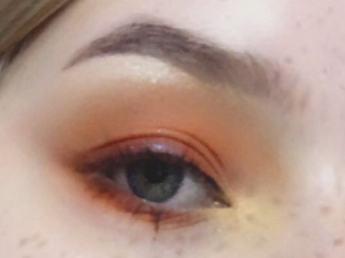 Customer photo review of The Zodiac Palette