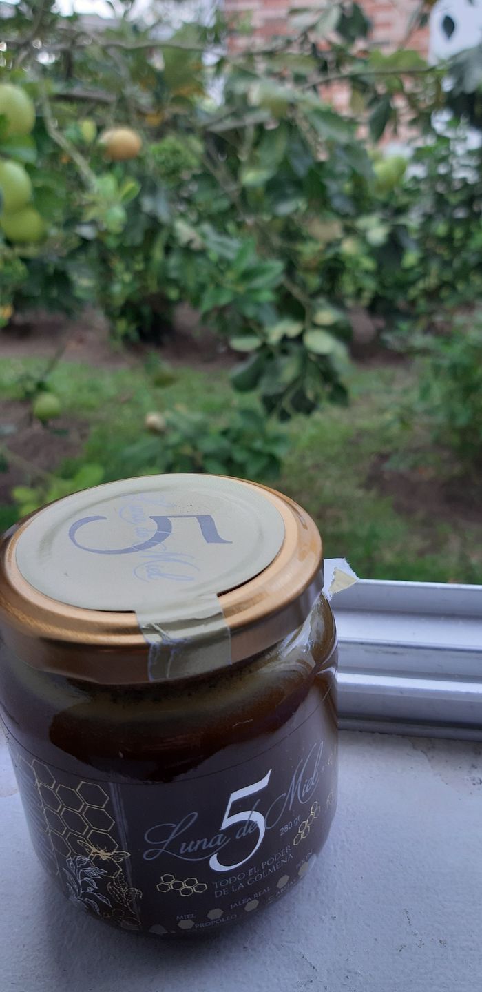 Customer photo review of Cinco