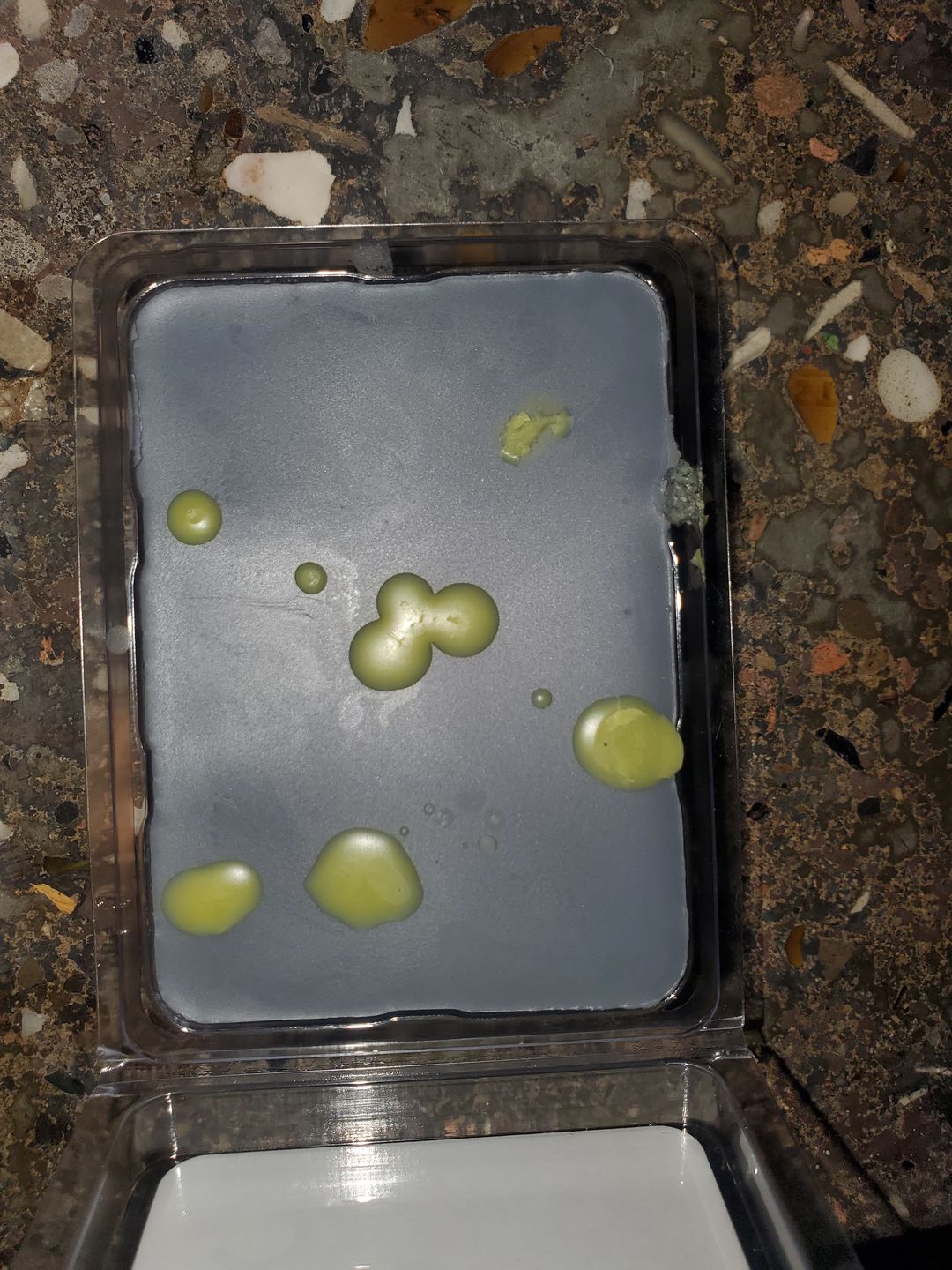 Customer photo review of Binx the Cat Wax Melt