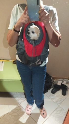 Customer photo review of Pet.Zip™ - Pet Backpack Carrier