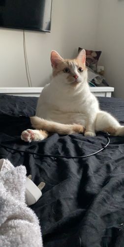 Customer photo review of Sustainable Litter