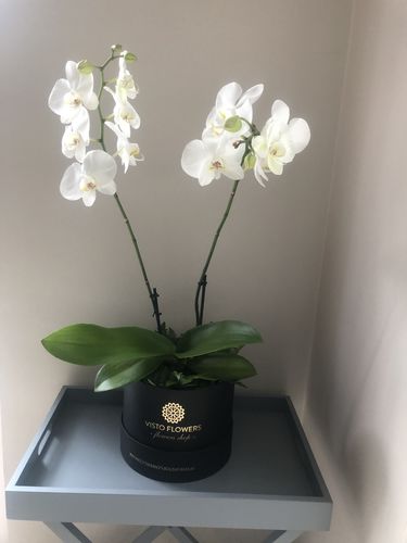 Customer photo review of Caja de Doble Orquídea RN