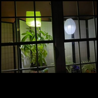 Customer photo review of 10" Light Lime Square Shaped Paper Lantern