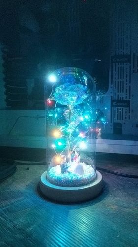 Customer photo review of (50% OFF Holiday Pre-Sale) 24K Galaxy Rose