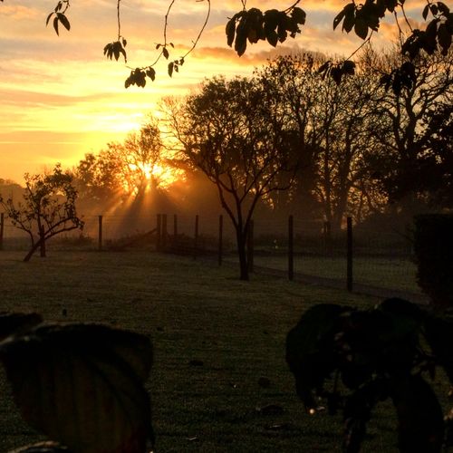 Julie B. review of Apple iPhone XR 64GB Unlocked Black Refurbished Excellent image 1 out of 1