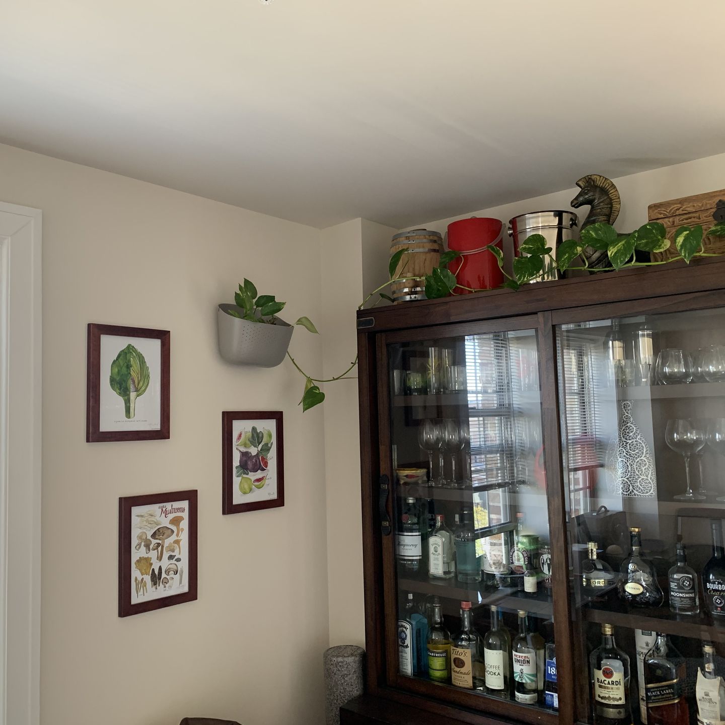 Customer photo review of Wally Eco Stone Wall Planter
