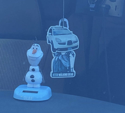 Customer photo review of Custom Air Freshener