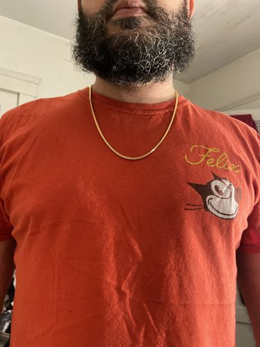Customer photo review of 2mm 14k Gold Finish 925 Silver Franco Chain