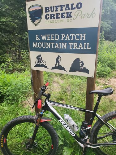 Customer photo review of Bobtrax Carbon Frame