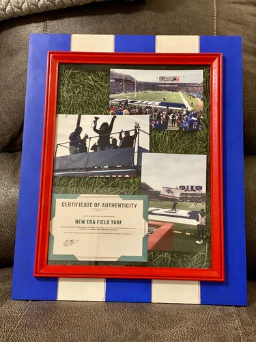 Customer photo review of Field Turf