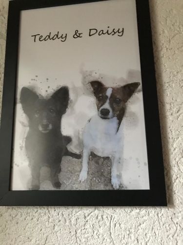 Customer photo review of Individuelles Haustierporträt - Posterdruck im Rahmen