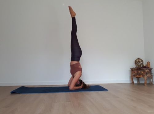 Customer photo review of MANDALA - die perfekte Yogamatte 🧘