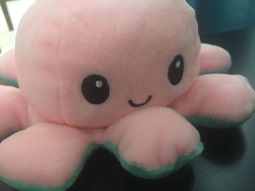 Customer photo review of Peluche octopus réversible