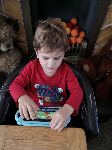 Paula Y. review of Apple iPad Mini 3 WiFi 64GB Space Grey Refurbished Pristine image 1 out of 1