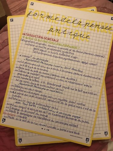 Avis photo d'un client sur Fiches de révision REVISION 2.0 OXFORD # 50 fiches 14,8 x 21 cm - petits carreaux