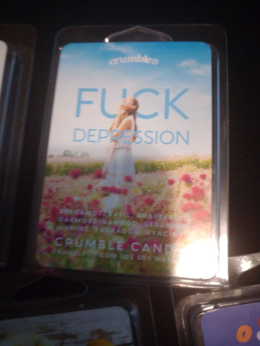 Customer photo review of Fuck Depression Wax Melts
