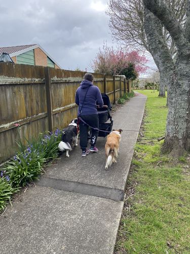 Customer photo review of Oscar Mx Full Package Deal