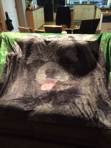 Customer photo review of Custom Pet Fleece Blanket