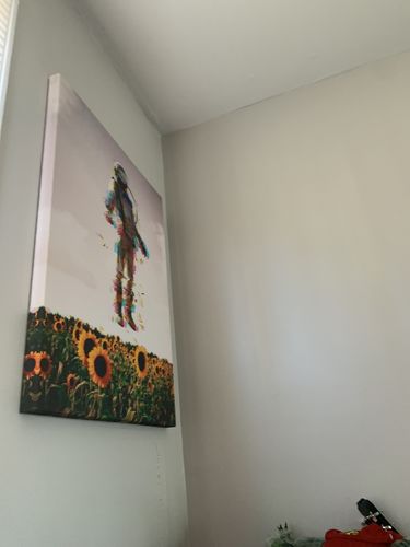 Customer photo review of The Plane Traveler Canvas Set