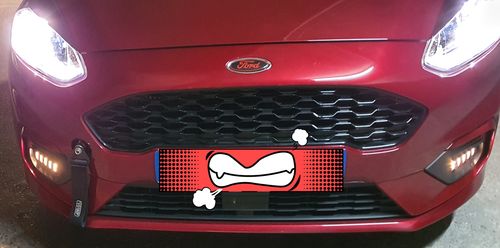 Customer photo review of Fiesta MK8 ST/ST Line Race Style Fog Light Armour
