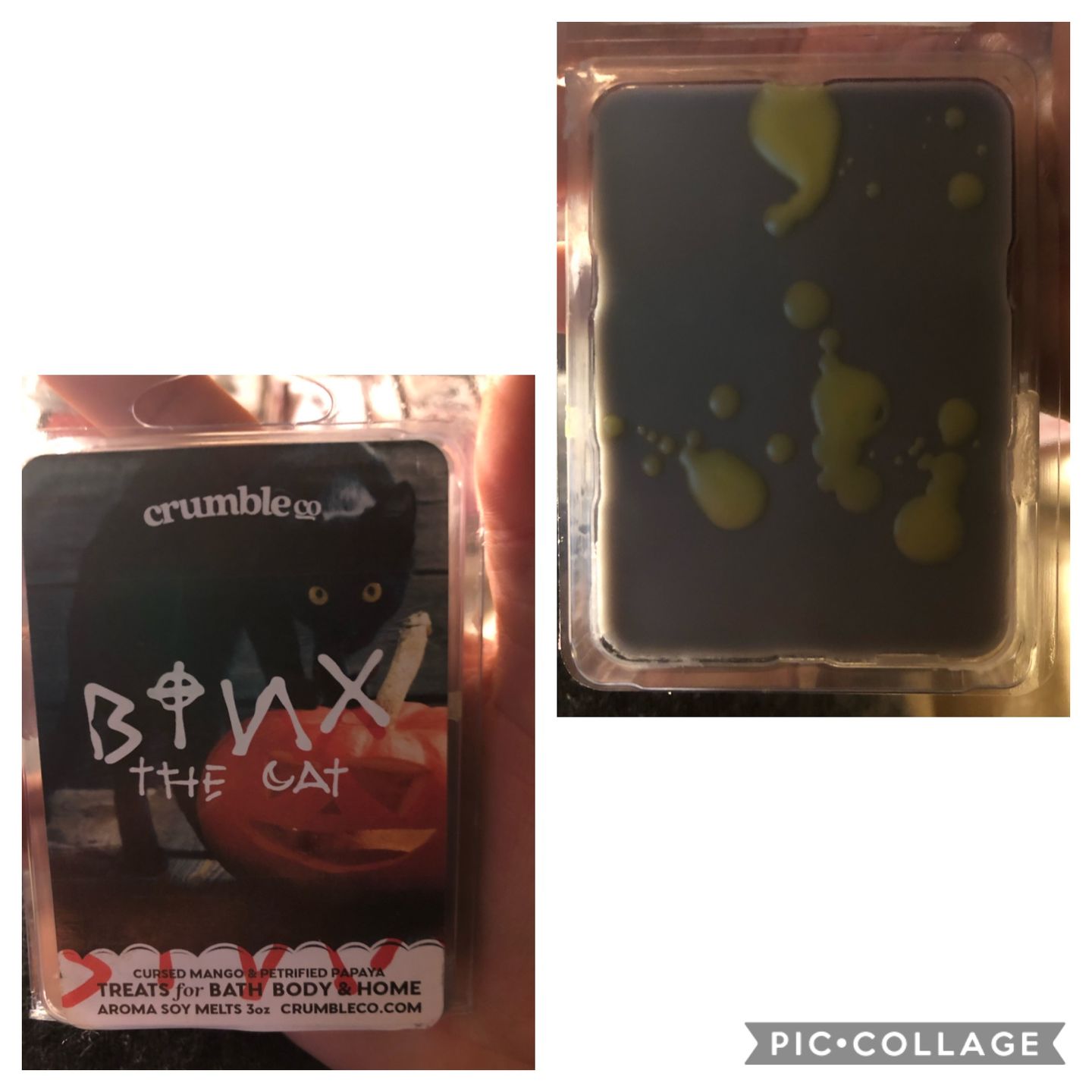 Customer photo review of Binx the Cat Wax Melt