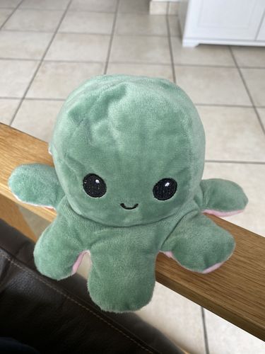 Customer photo review of Peluche octopus réversible