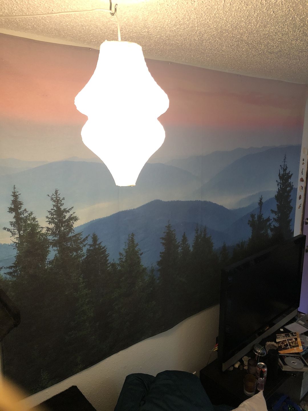 Customer photo review of Beige / Ivory Beehive Unique Shaped Paper Lantern, 10.5-inch x 15-inch
