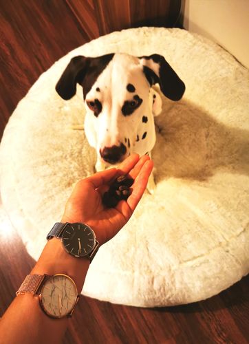 Customer photo review of World Edition Silver Black