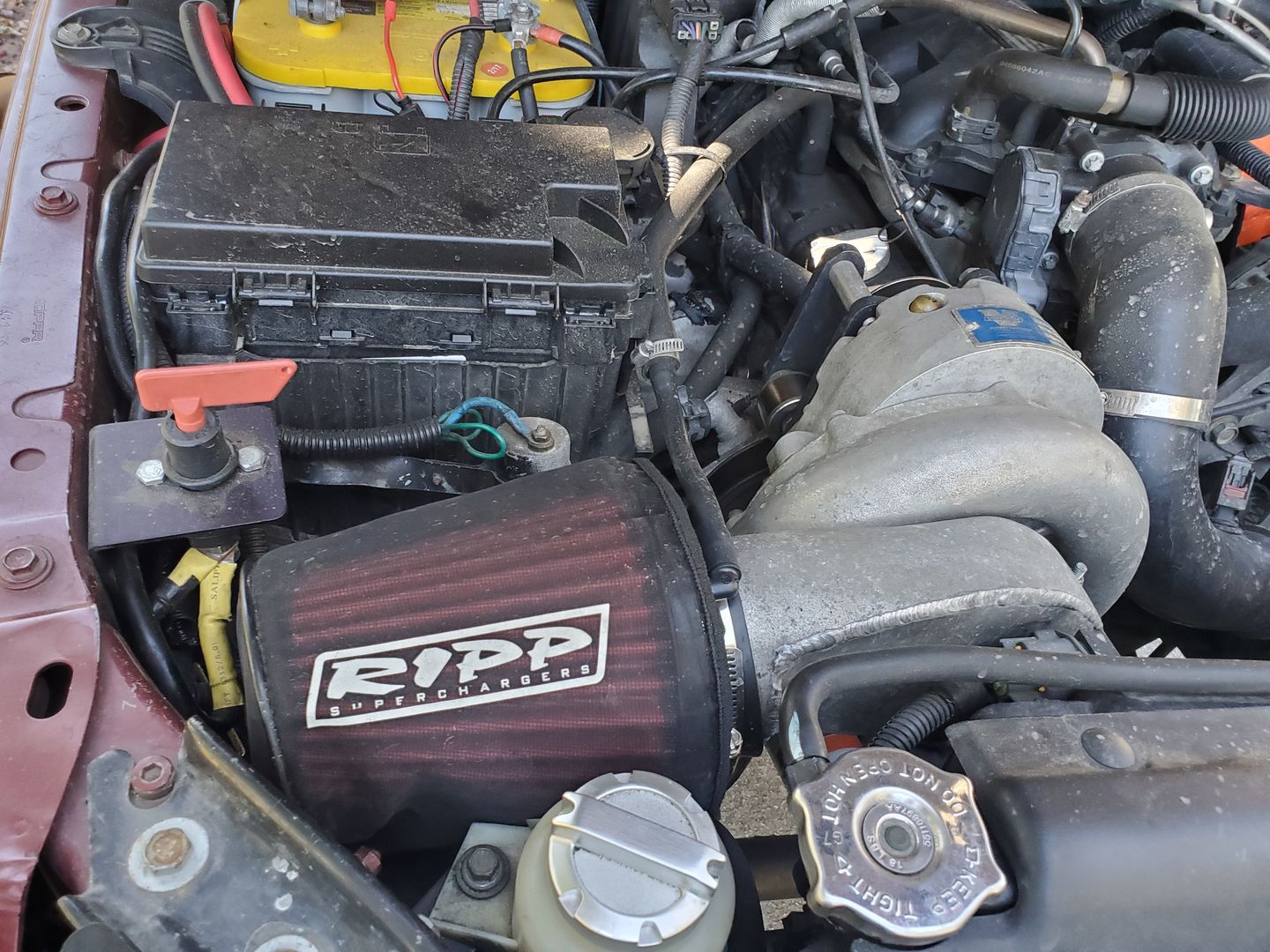 Customer photo review of Vortech V3 Blower Oil Three-Pack 4-oz Bottles