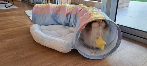 Customer photo review of ZEZE® CAT TUNNELS TOY CAT BED RAINBOW