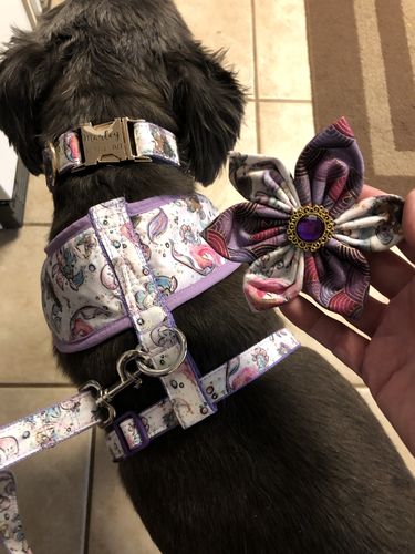 Customer photo review of cute Mermaid dog harness vest/ Purple Girl dog harness
