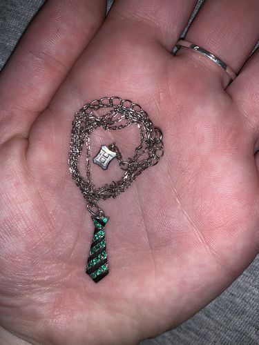 Customer photo review of Harry Potter Slytherin Pride Candle - 925 Sterling Silver Slytherin Necklace Collection