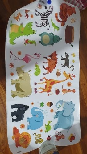 Customer photo review of Sticker Animaux Savane
