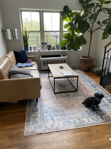Customer photo review of Distressed Vintage Pissarro Terracotta Sky
